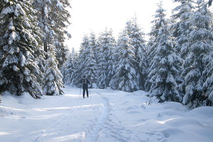 Der Harz im Winter 