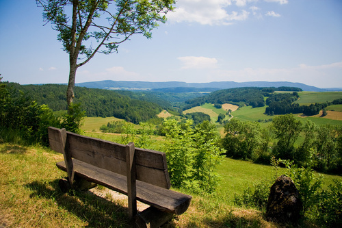 Erholung im Schwarzwald 