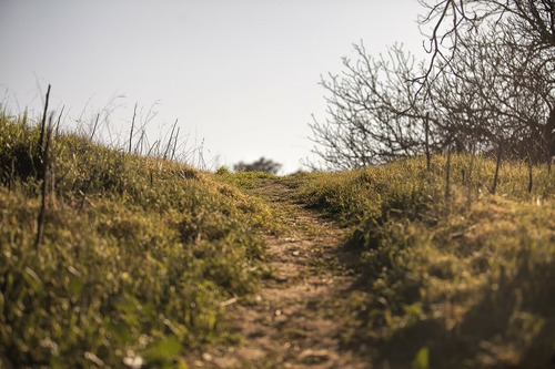  Fuerteventura Wandern - Wanderrouten, Wandertouren & Wanderungen auf Fuerteventura - wanderung wandern wanderweg pfad weg natur hill.