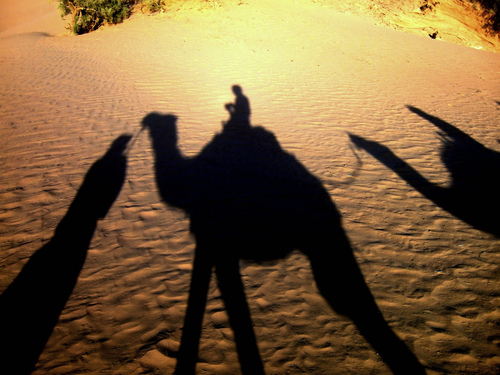  Gran Canaria Wüste - Kamel, Reiten, Kamelreiten, Kamelsafari, Wüste, Sand, Schatten.