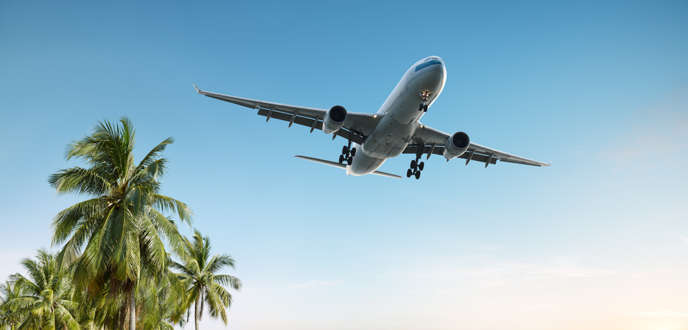 Flugzeit La Palma - So lange Fliegen sie na La Palma - airplane baum blau fliegender flug flugzeug himmel landung palm tree reisen tropisch urlaub.