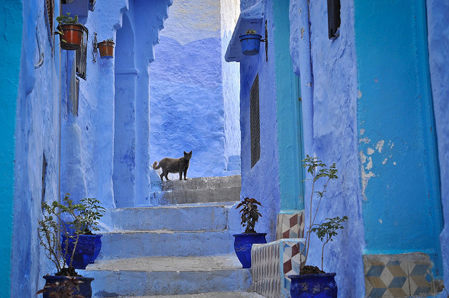 Die blaue Stadt - blau haus straße marokko afrika architektur .