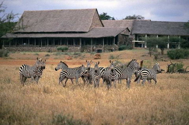 Kilaguni Serena Safari Lodge in Tsavo-West-Nationalpark, Mombasa (Kenia) Tiere