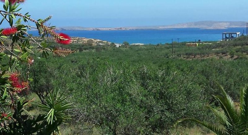 Galini Studios And Apartments in Palekastro, Heraklion (Kreta) Landschaft