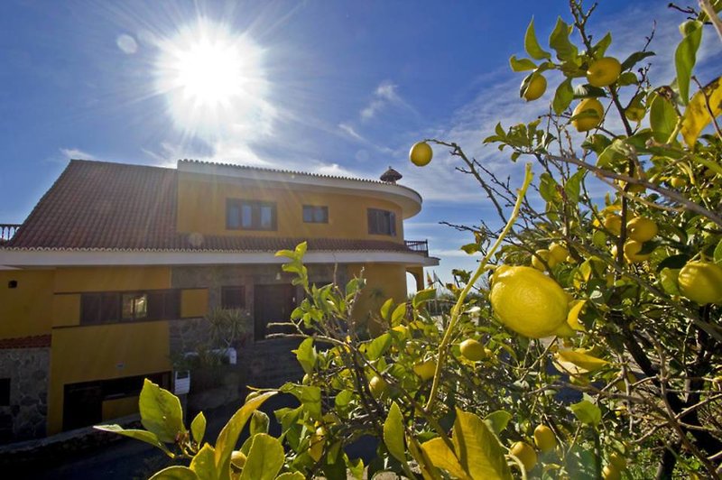 Alta Montaña in Vilaflor, Teneriffa Süd Terrasse