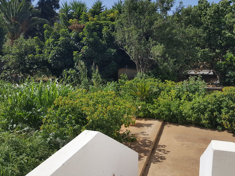 Mear Apartments and Studios in Paleochora, Chania (Kreta) Terrasse