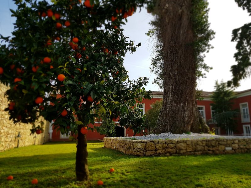 Palacio De Sao Silvestre in Coimbra, Porto Garten