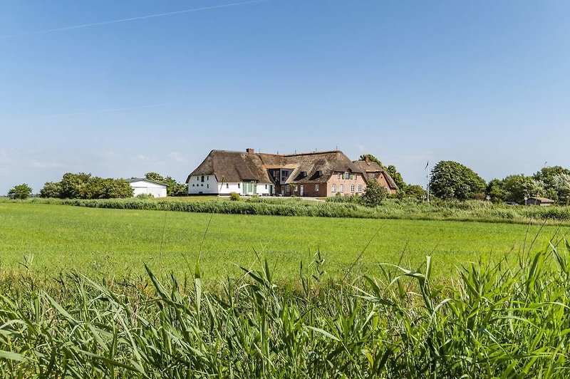 Pharisäerhof in Nordstrand, Landschaft