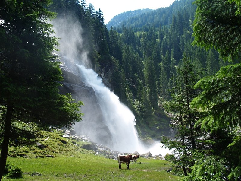 Hotel Alpenhaus Evianquelle in Bad Gastein, Außenaufnahme