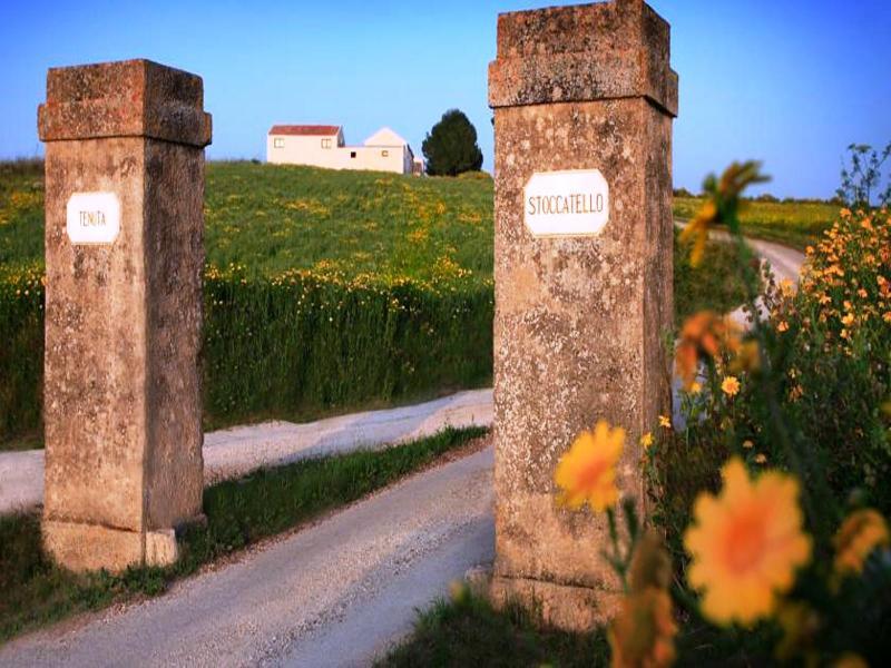 Agriturismo Tenuta Stoccatello in Menfi, Palermo Außenaufnahme