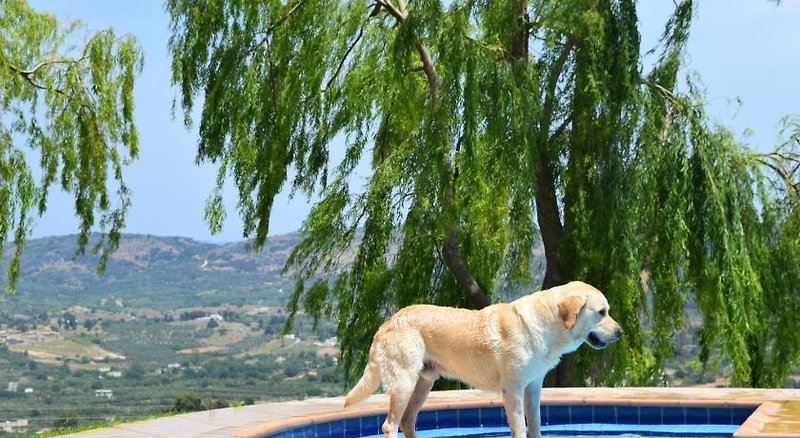 Villen Aspalathos in Filippos, Chania (Kreta) Tiere