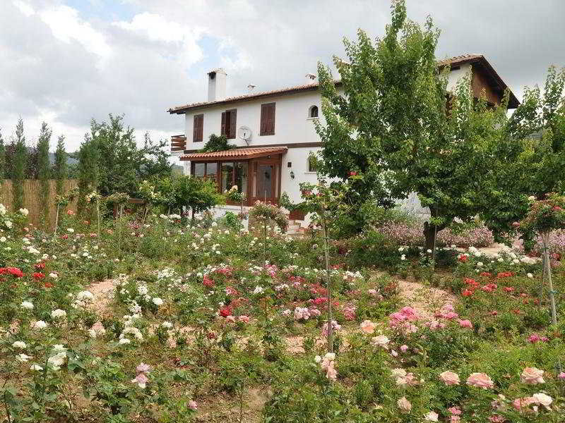 Güllü Konaklari in Selcuk, Izmir Außenaufnahme