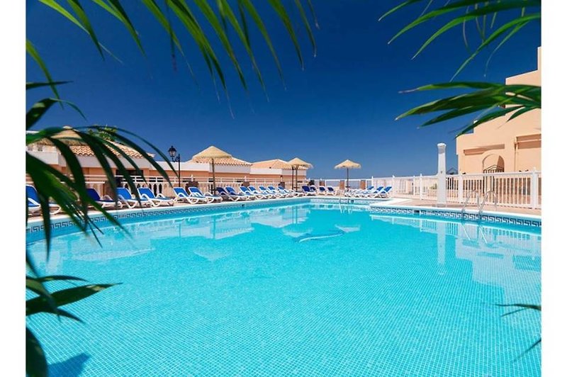 Paradise Court in Adeje, Teneriffa Süd Pool