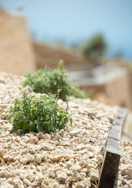 Santorini Heights in Pyrgos, Santorini Garten