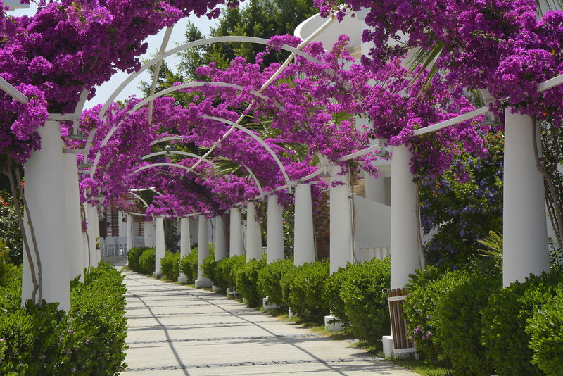 Bendis Beach Hotel in Turgutreis, Bodrum Außenaufnahme