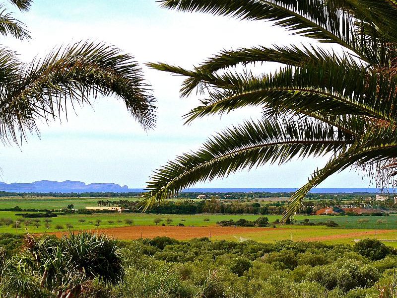 Finca Hotel Rural Es Turó in Ses Salines, Mallorca Garten