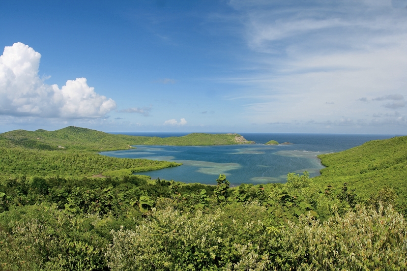 French Coco in Tartane, Fort-De-France Landschaft