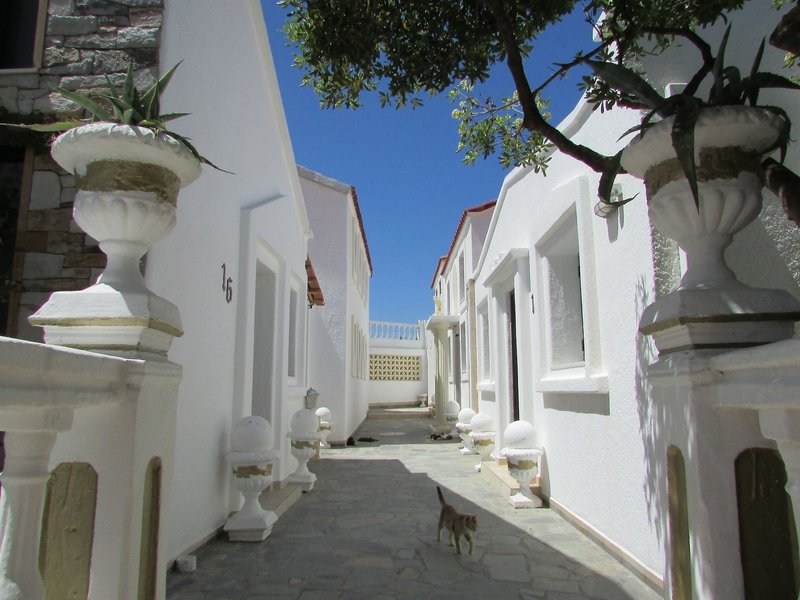 Castellino Studios in Faliraki, Rhodos Außenaufnahme