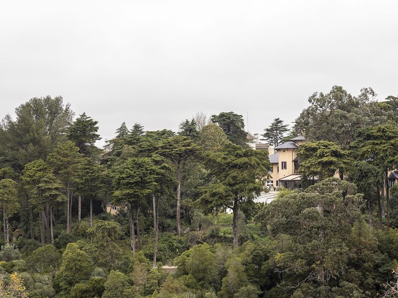 Sintra Marmoris Camelia in Sintra, Lissabon Außenaufnahme