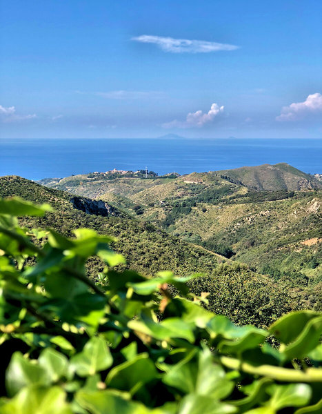 Borgo Musolino Country Resort in Messina, Catania Landschaft