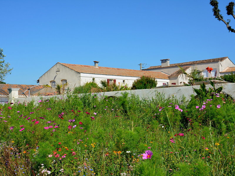 Auberge du Mas de la Feniere in Arles, Avignon Außenaufnahme