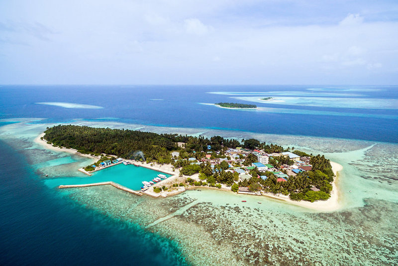 Plumeria Maldives in Thinadhoo, Vaavu Atoll, Male (Malediven) Pool