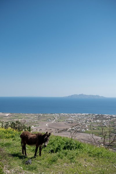 Senses Luxury Villas Santorini in Pyrgos, Santorini Landschaft