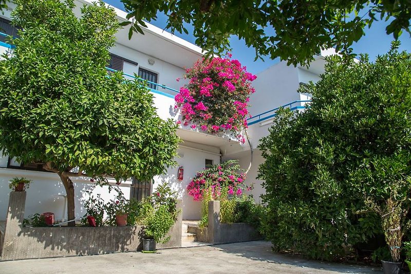 Yiannis Yard Studios & Apartments in Psalidi, Kos Außenaufnahme