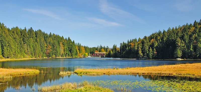 Landhotel Arber Wellness in Lohberg, Landschaft