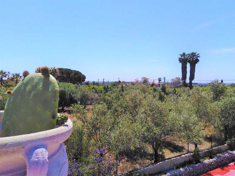 Residence Noto Marina in Noto, Catania Landschaft