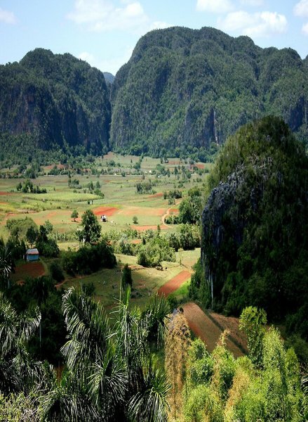 Casa Alvy & Ada in Viñales, Havanna Landschaft