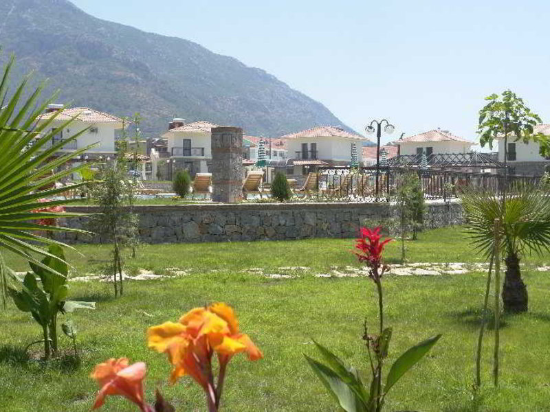 Orka Village Apartments in Ölüdeniz, Dalaman Tiere